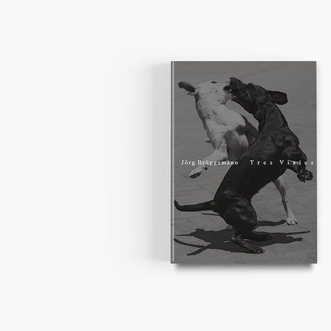 Jörg Brüggemann - Tres Viajes