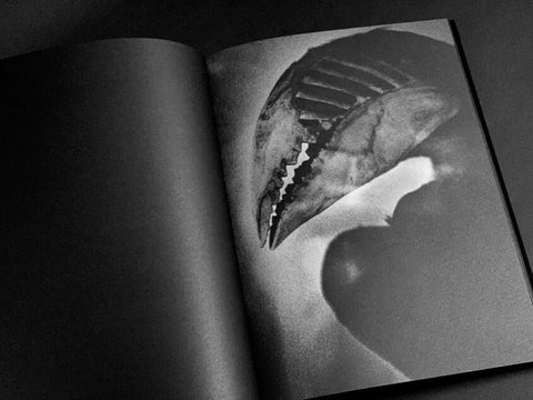 Aleksei Kazantsev - Relaxing Chamber