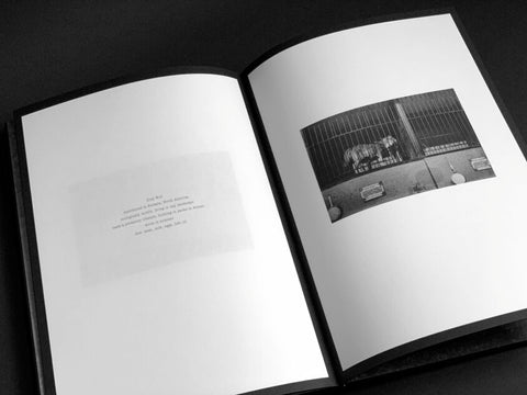 Aleksei Kazantsev - Relaxing Chamber