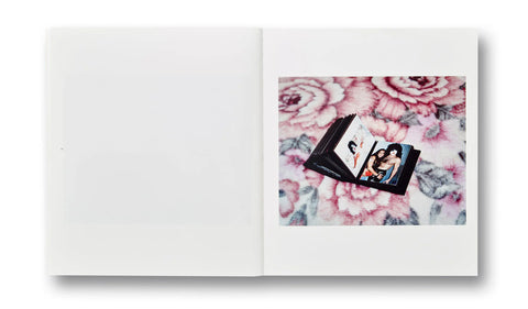 Alec Soth - Niagara