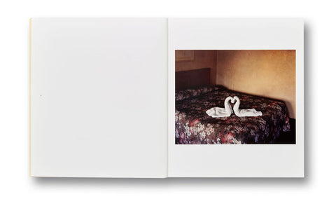 Alec Soth - Niagara