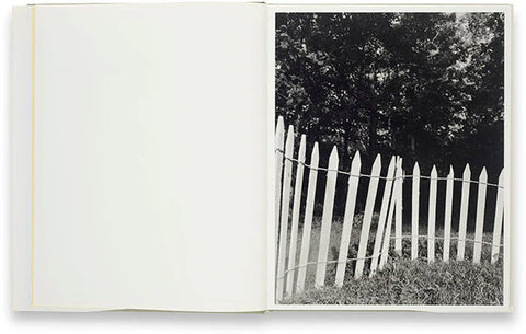 Collier Schorr - Neighbors Nachbarn