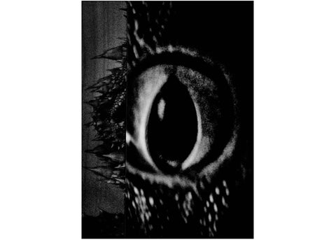 Aleksei Kazantsev - Relaxing Chamber