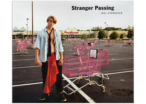 Joel Sternfeld - Stranger Passing