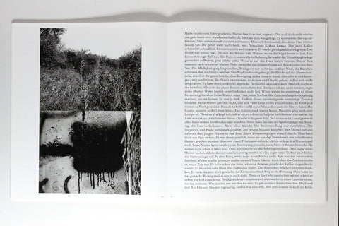 Michael Schmidt - Waffenruhe (German edition)